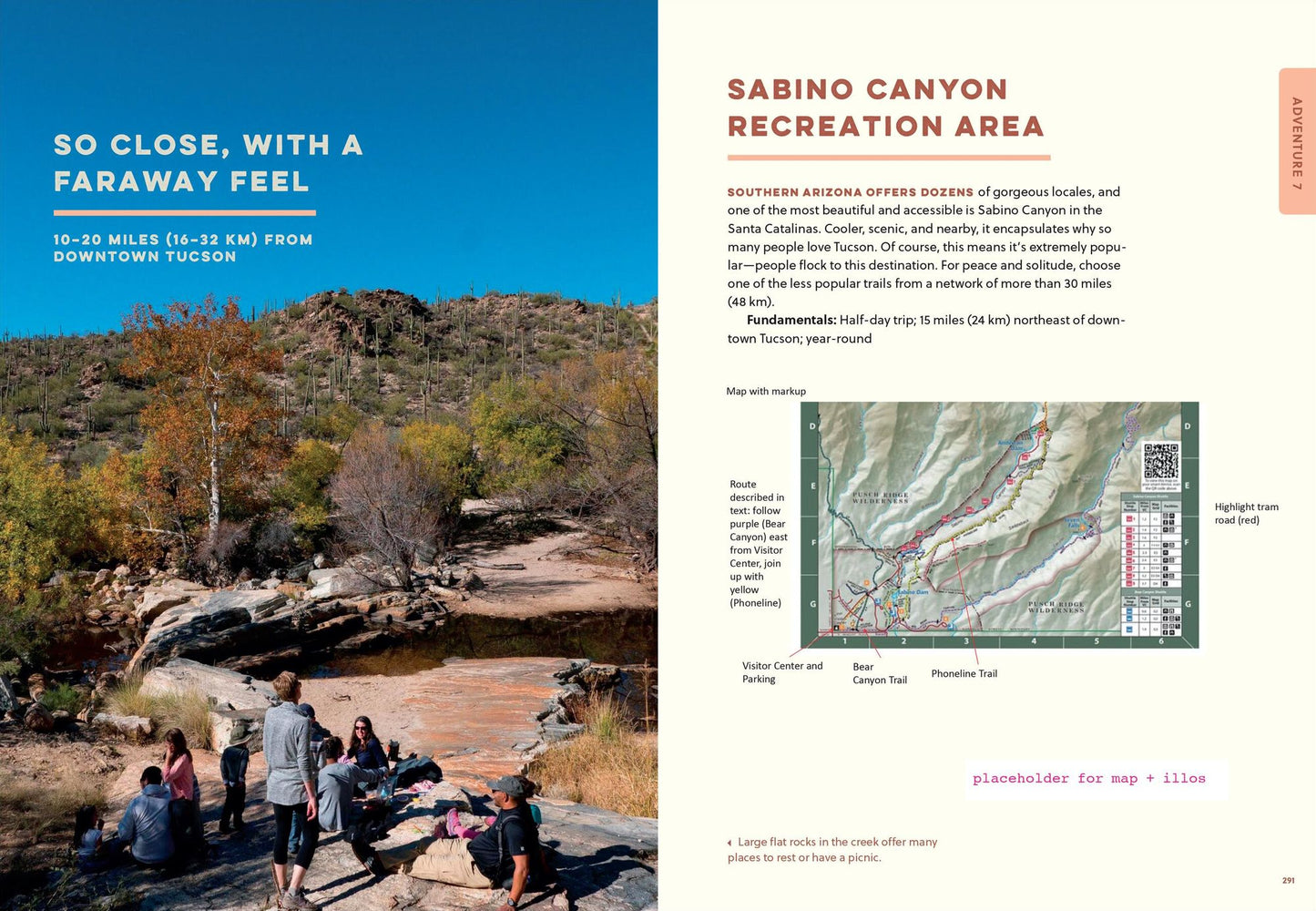 The Sonoran Desert Explorer: A Guide to Natural Wonders and Adventures