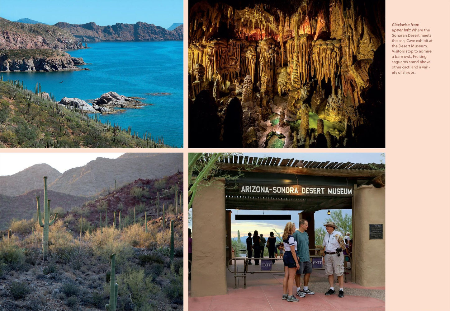 The Sonoran Desert Explorer: A Guide to Natural Wonders and Adventures