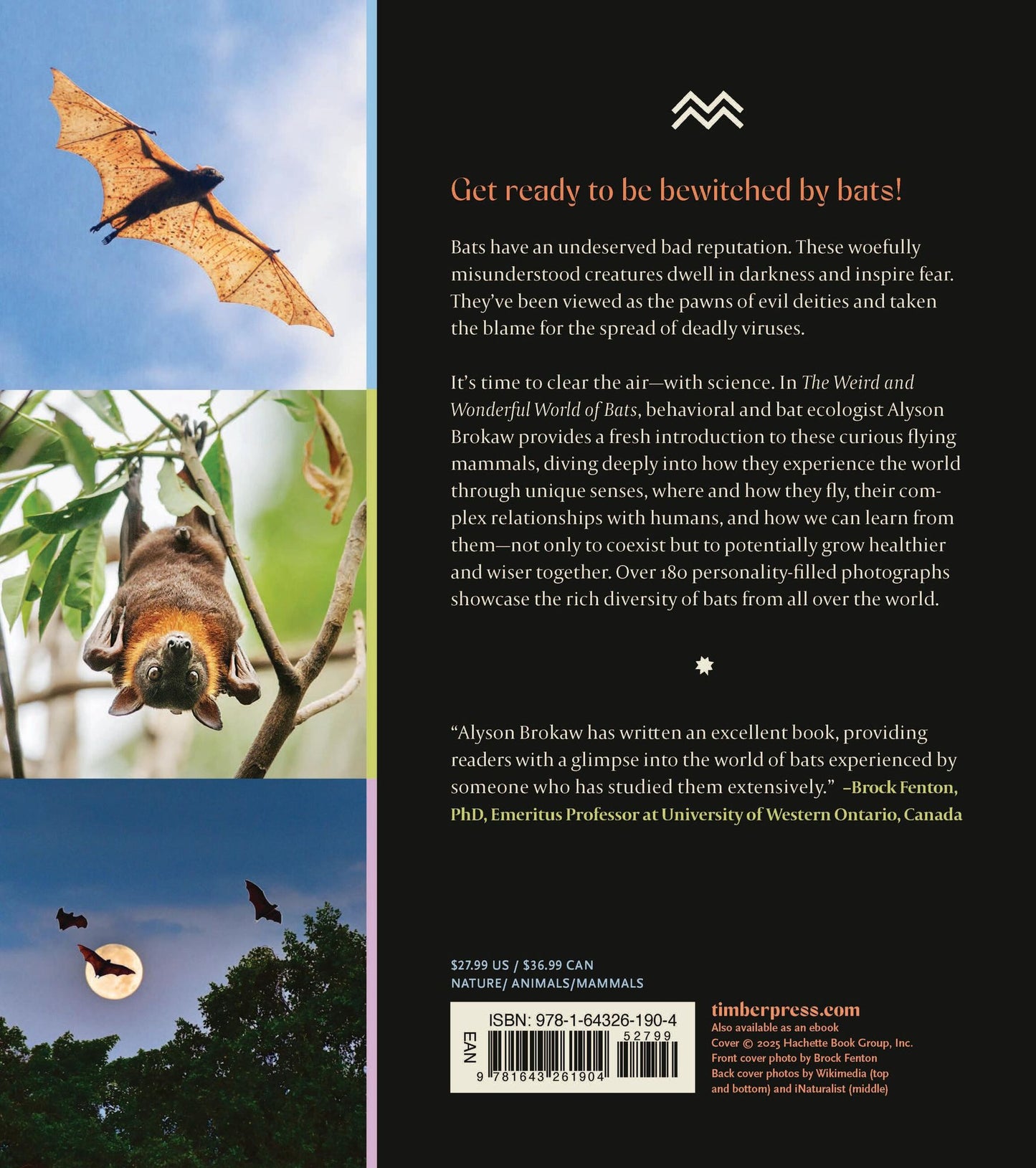 The Weird and Wonderful World of Bats: Demystifying These Often-Misunderstood Creatures