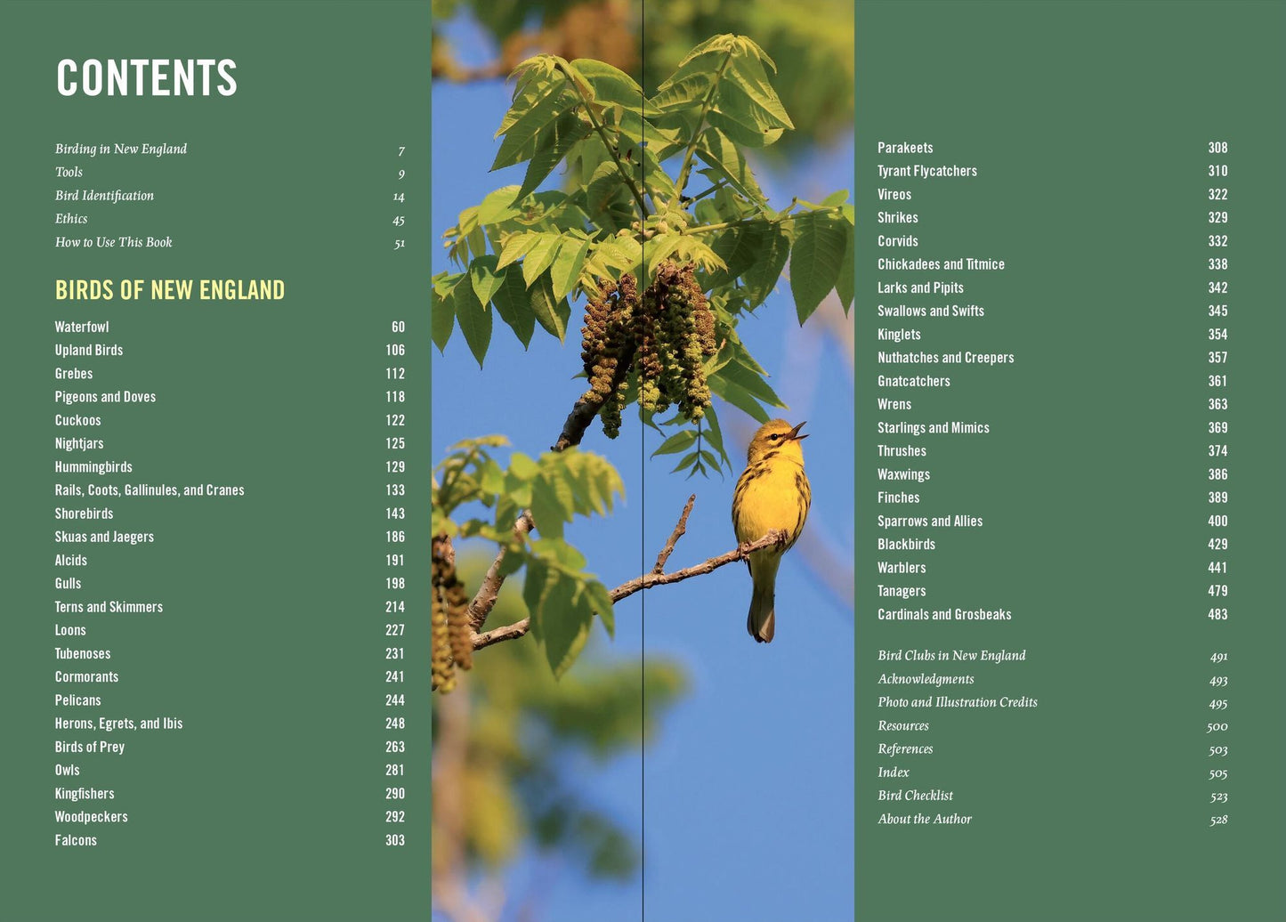 Birds of New England: A Timber Press Field Guide