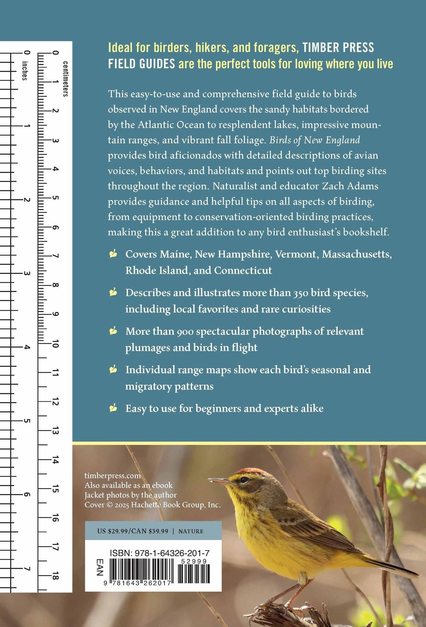 Birds of New England: A Timber Press Field Guide