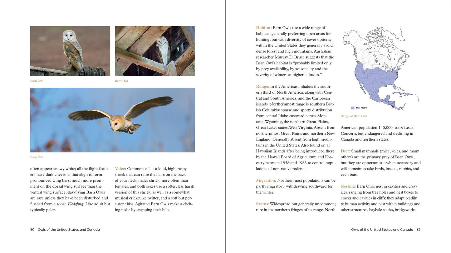 The Owl Handbook: Investigating the Lives, Habits, and Importance of These Enigmatic Birds