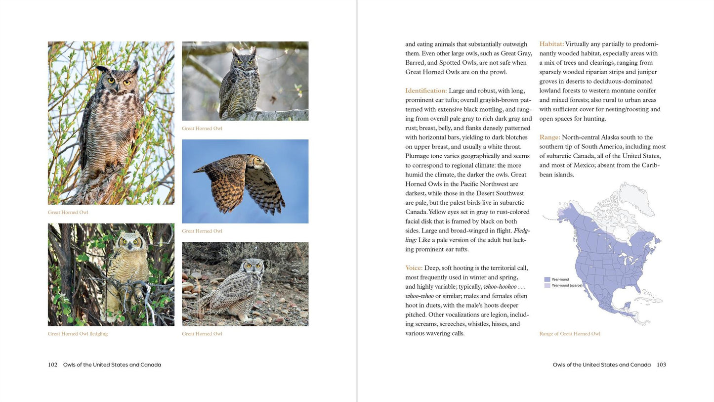 The Owl Handbook: Investigating the Lives, Habits, and Importance of These Enigmatic Birds