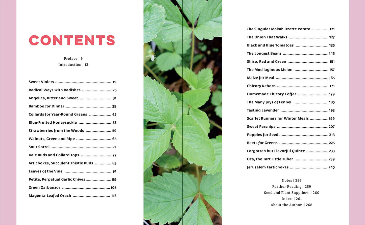 The Curious Kitchen Gardener: Uncommon Plants and How to Eat Them