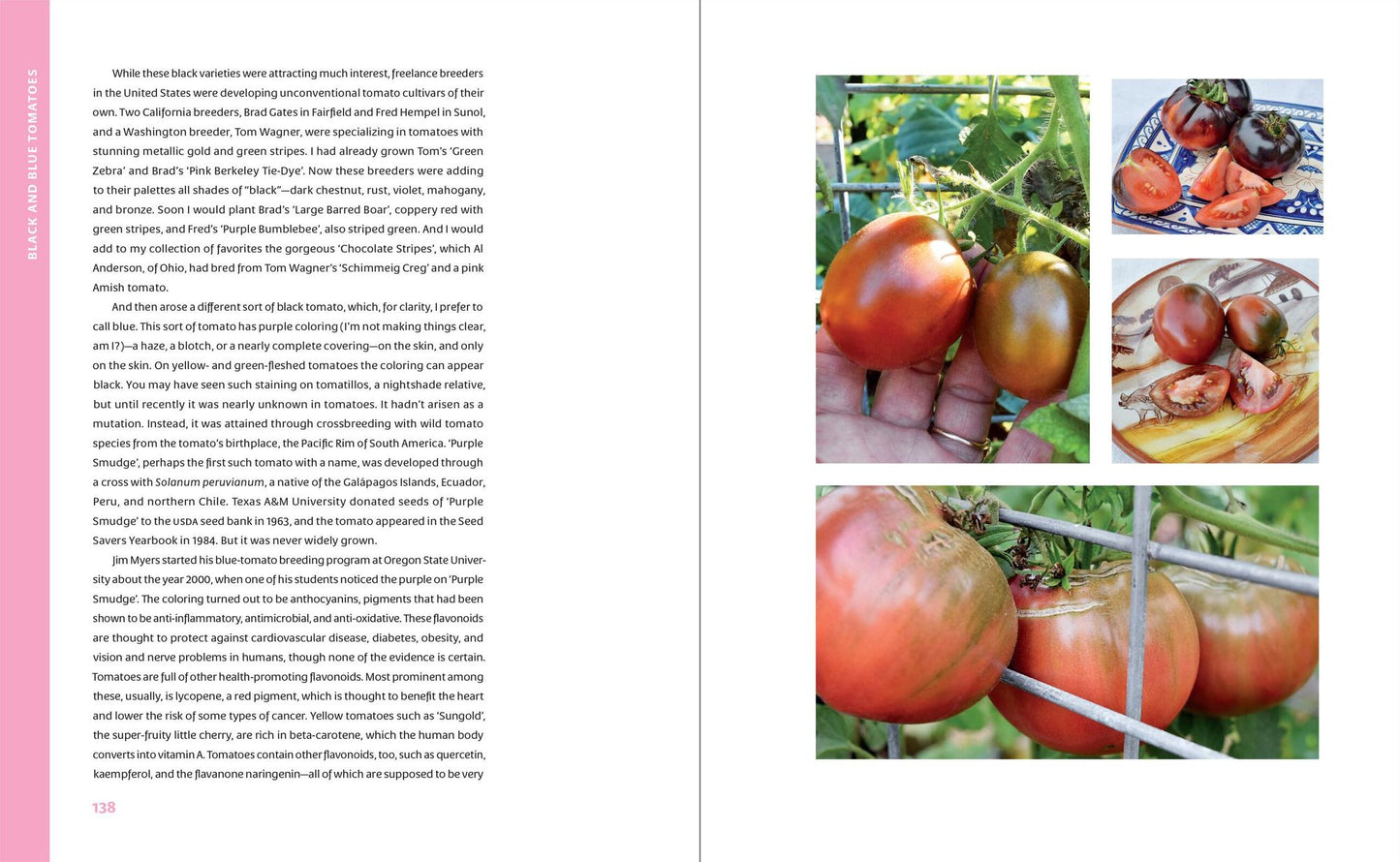 The Curious Kitchen Gardener: Uncommon Plants and How to Eat Them
