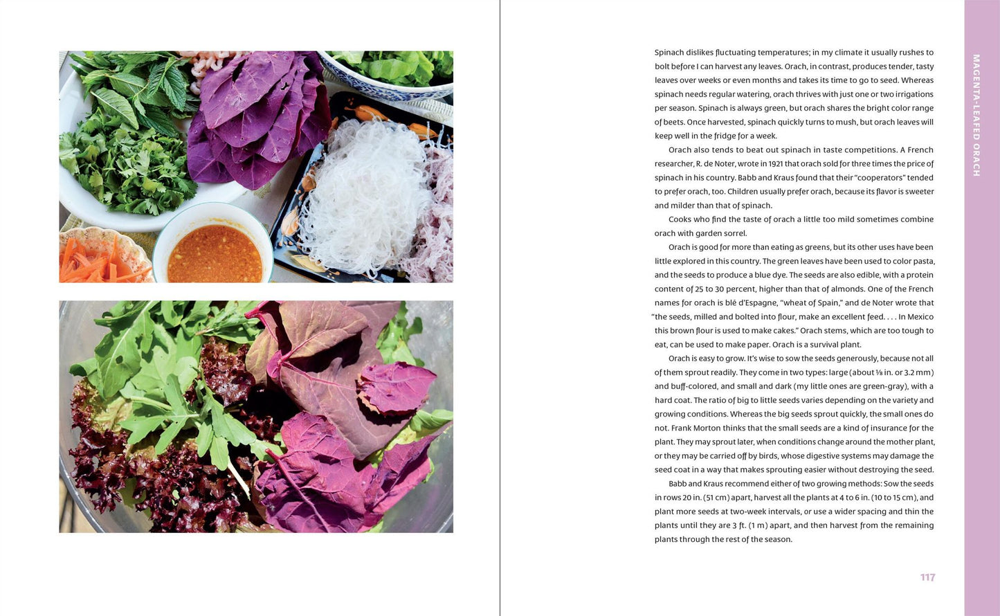 The Curious Kitchen Gardener: Uncommon Plants and How to Eat Them