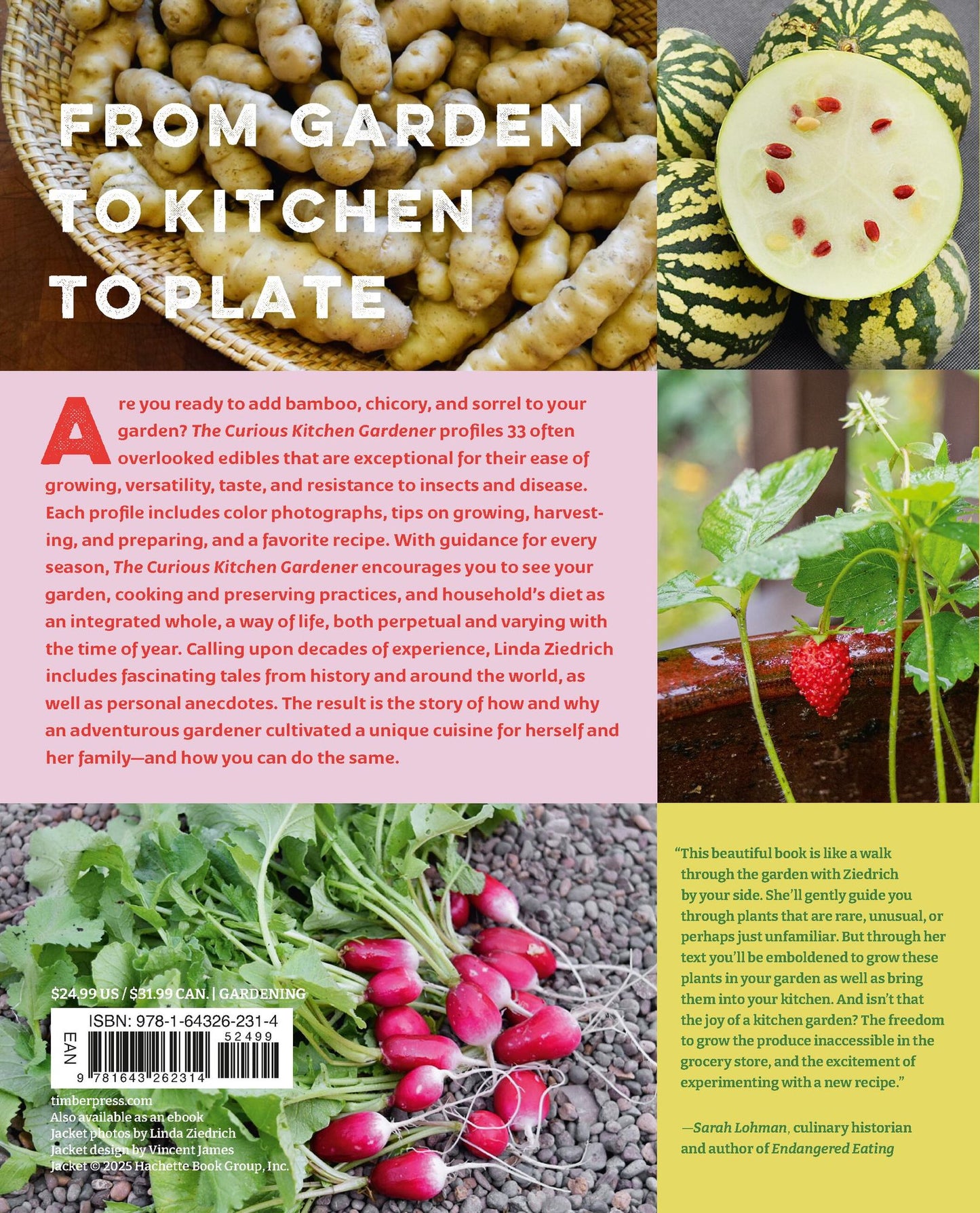 The Curious Kitchen Gardener: Uncommon Plants and How to Eat Them
