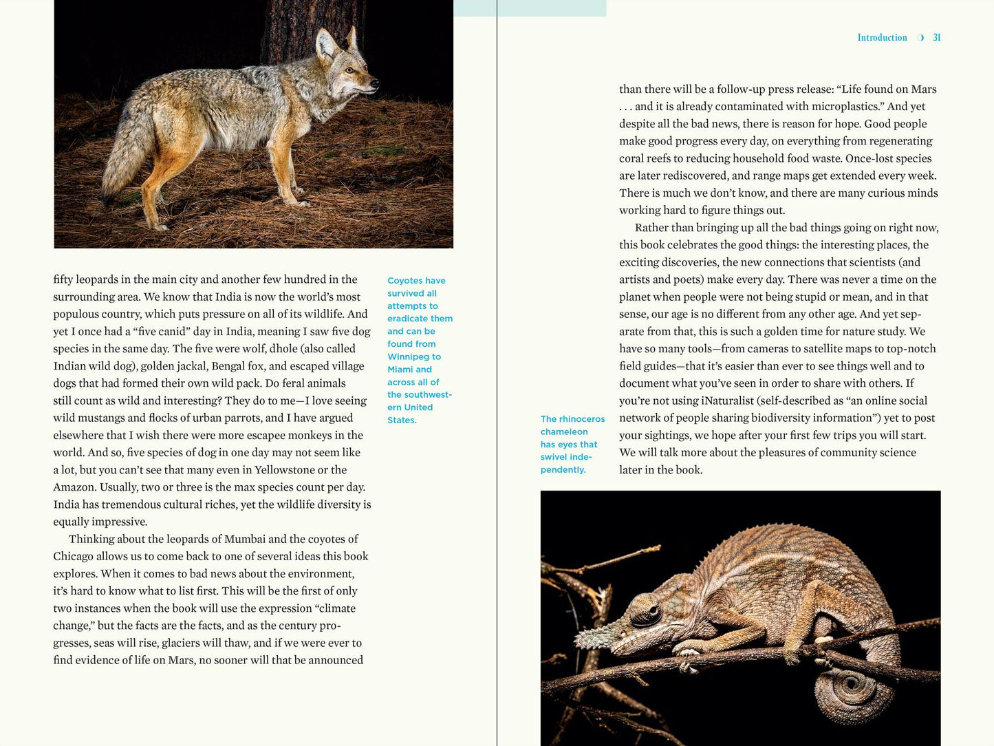 Nature at Night: Discover the Hidden World That Comes Alive after Dark