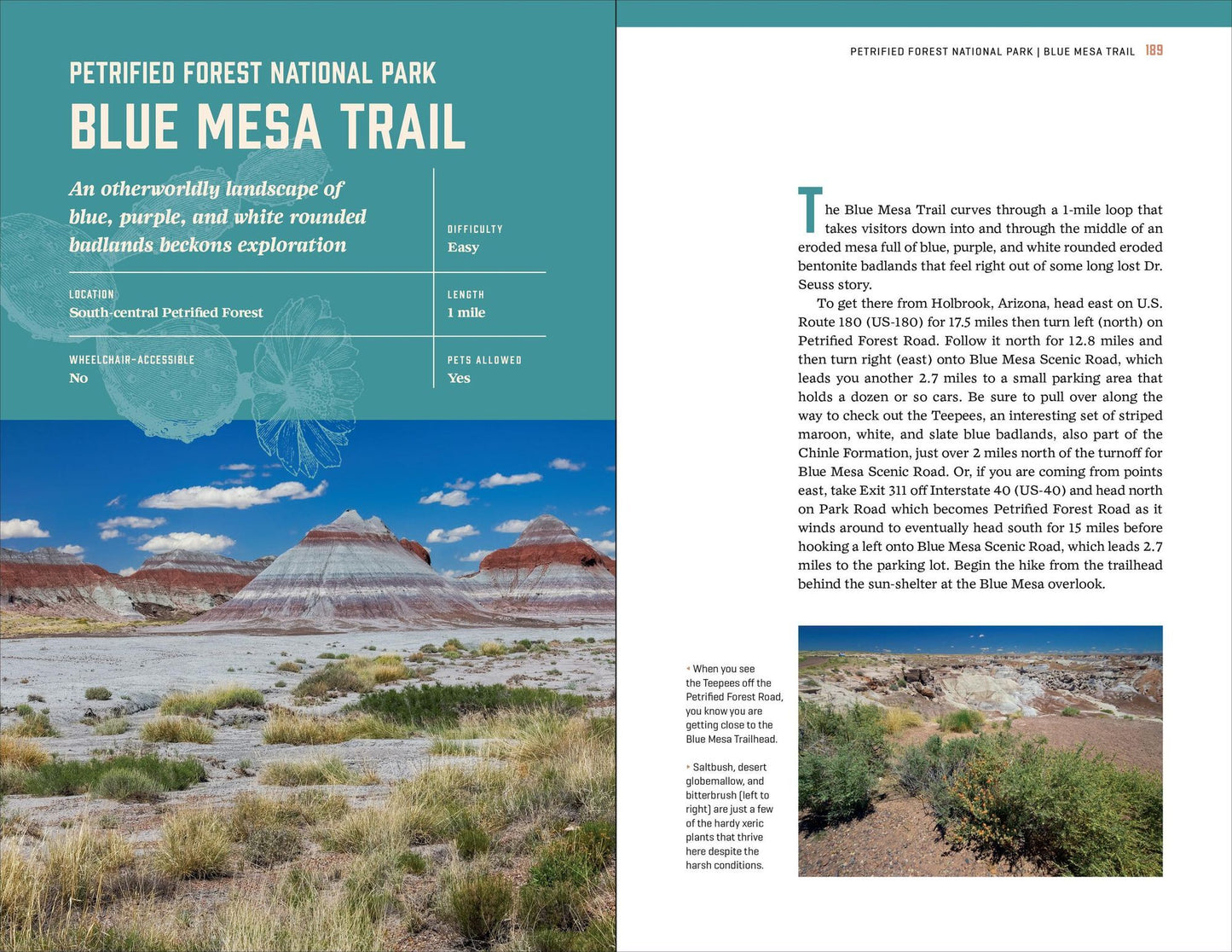 Southwest Canyon Country's Best Nature Walks: 39 Easy Ways to Explore the National Parks of the Four Corners