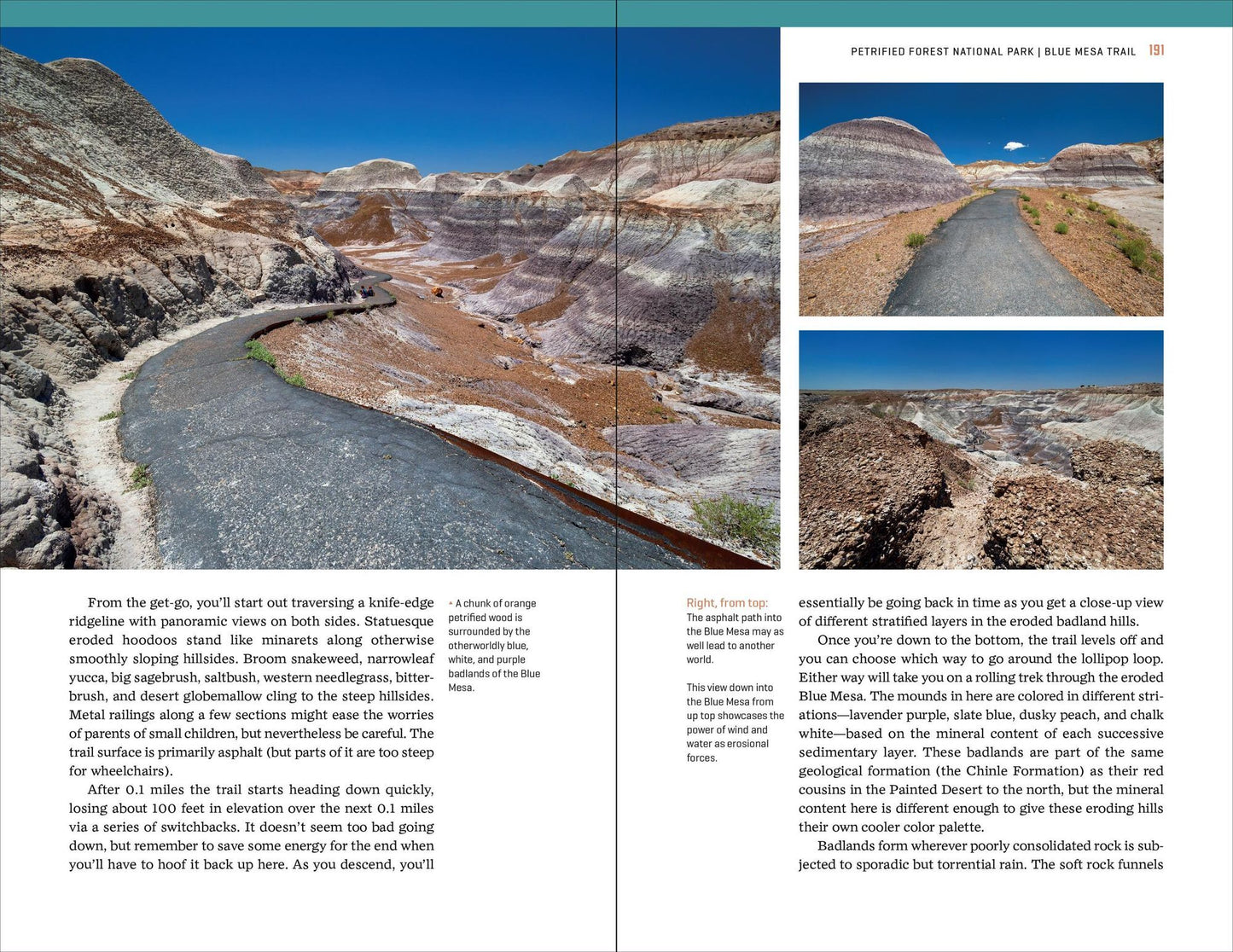 Southwest Canyon Country's Best Nature Walks: 39 Easy Ways to Explore the National Parks of the Four Corners