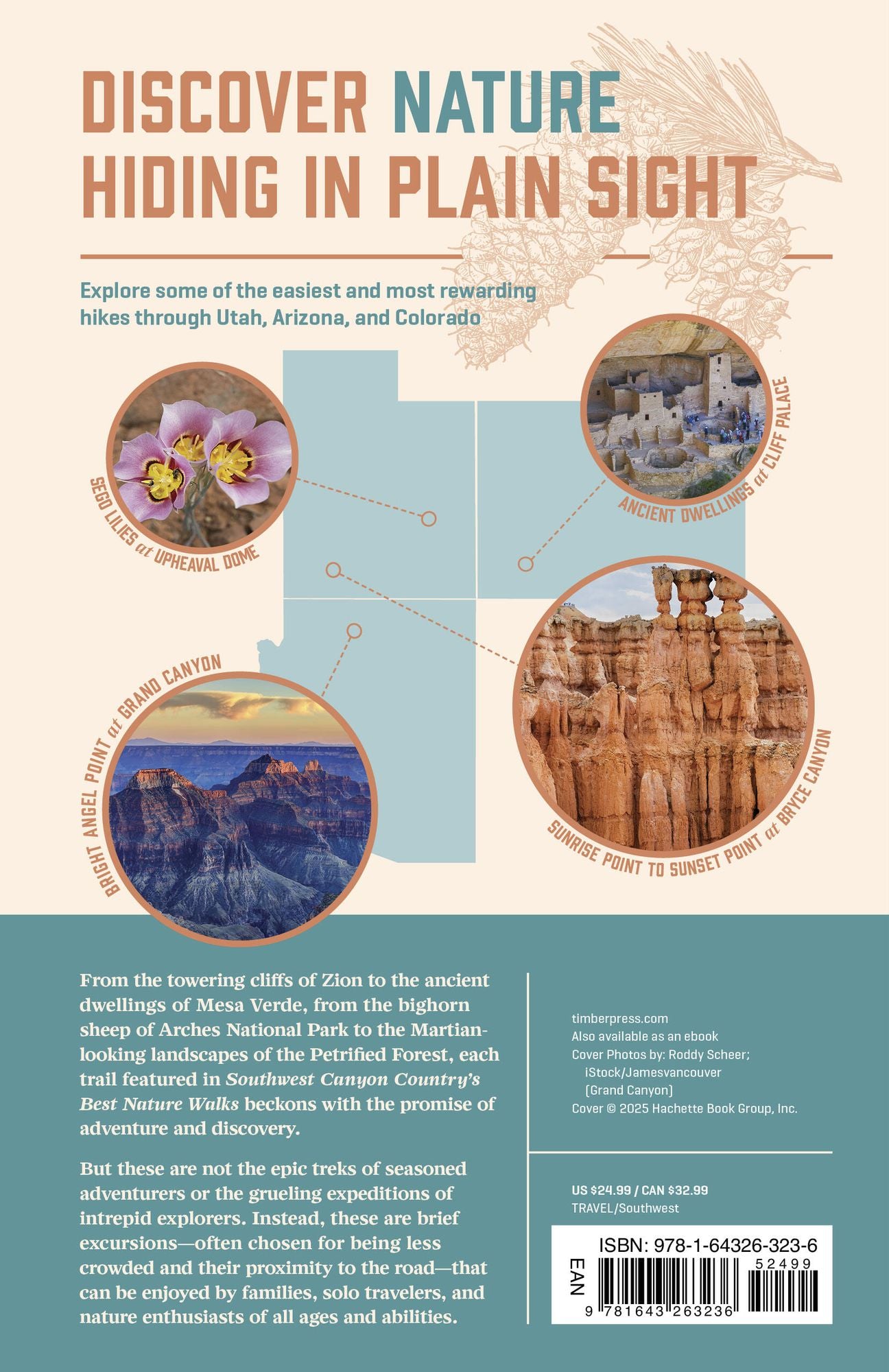 Southwest Canyon Country's Best Nature Walks: 39 Easy Ways to Explore the National Parks of the Four Corners