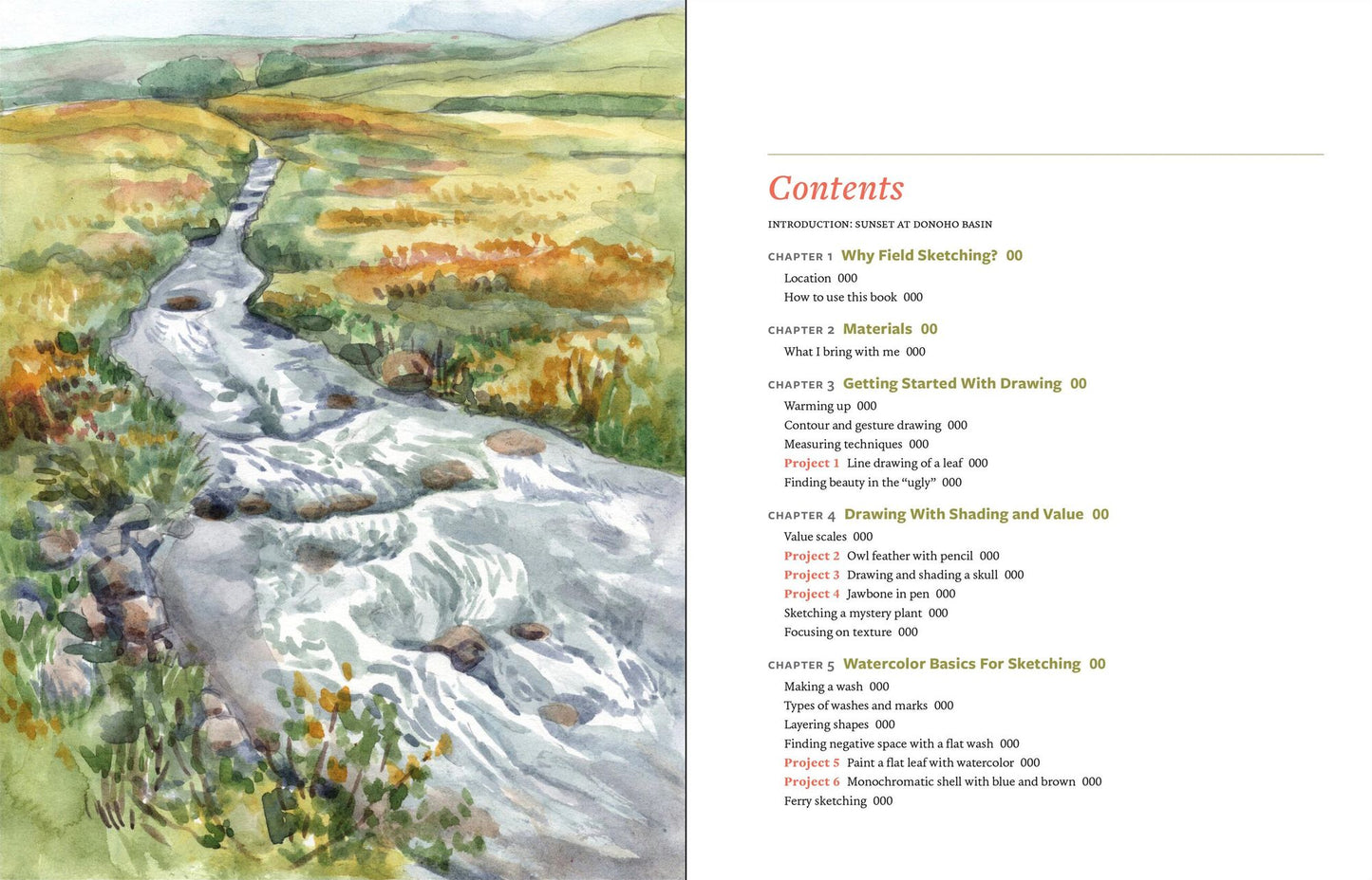 Discover the Art of Field Sketching: Nature-Inspired Techniques for Pencil, Pen, and Watercolor