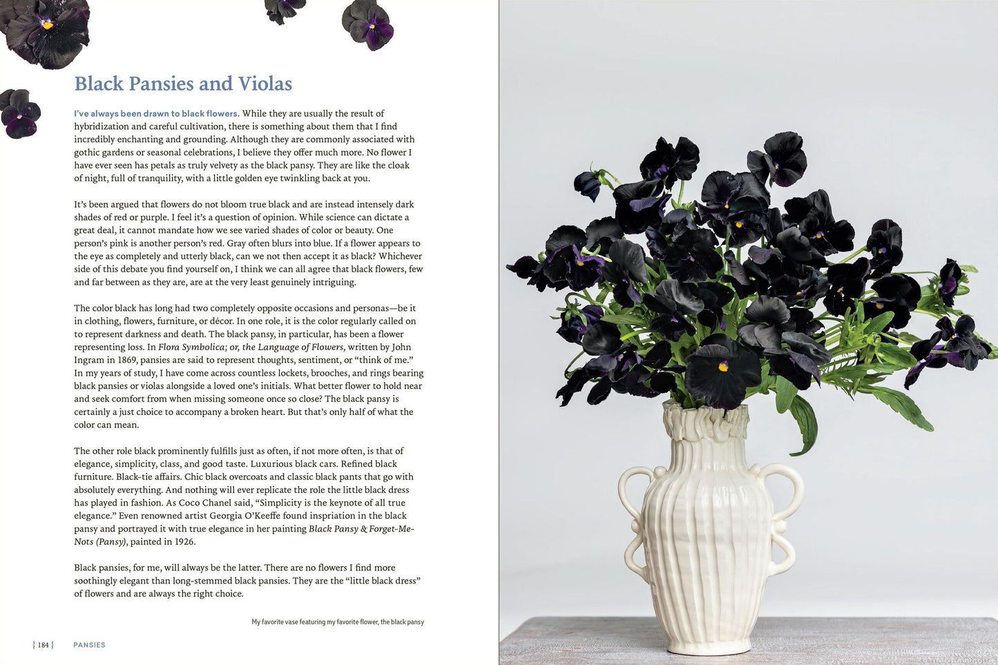 Pansies: How to Grow, Reimagine, and Create Beauty with Pansies and Violas
