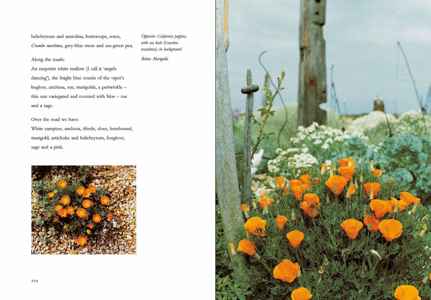 Derek Jarman's Garden: 30th Anniversary Edition
