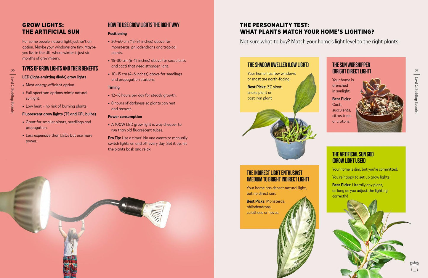 You're Overwatering It!: A Plant Guru's Guide to Houseplants