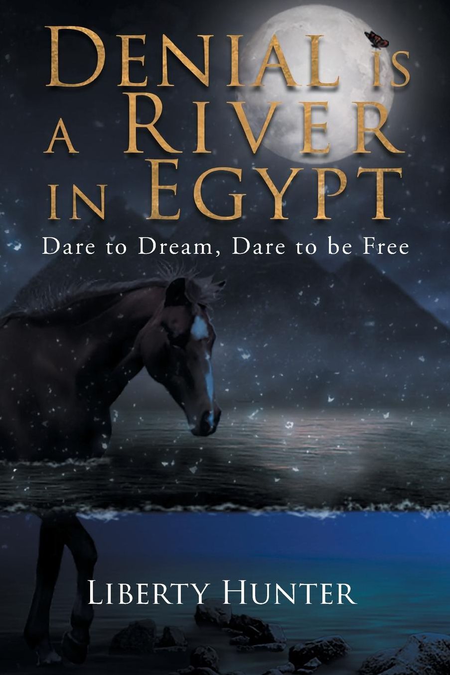Denial Is a River in Egypt