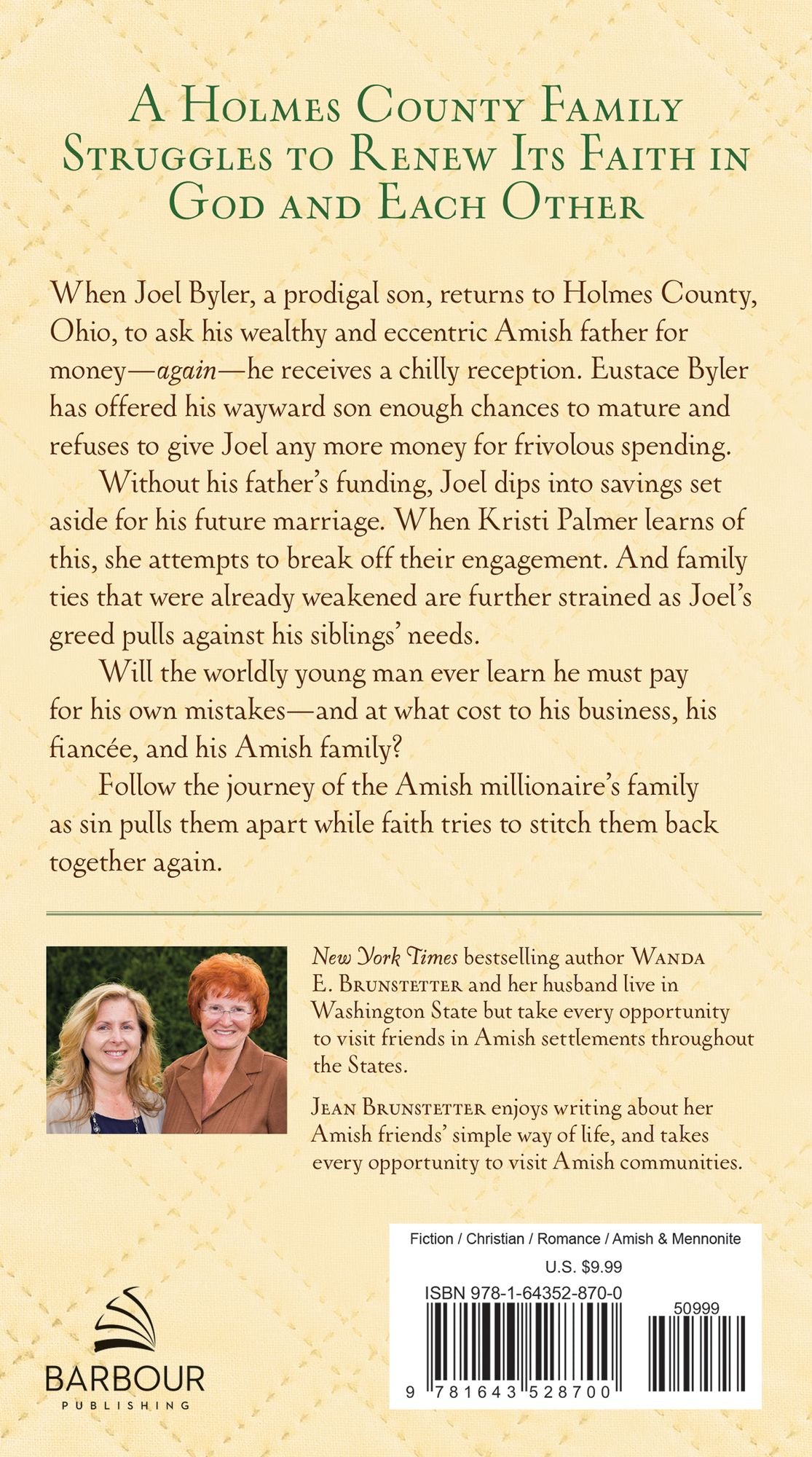 The Amish Millionaire: A Holmes County Saga