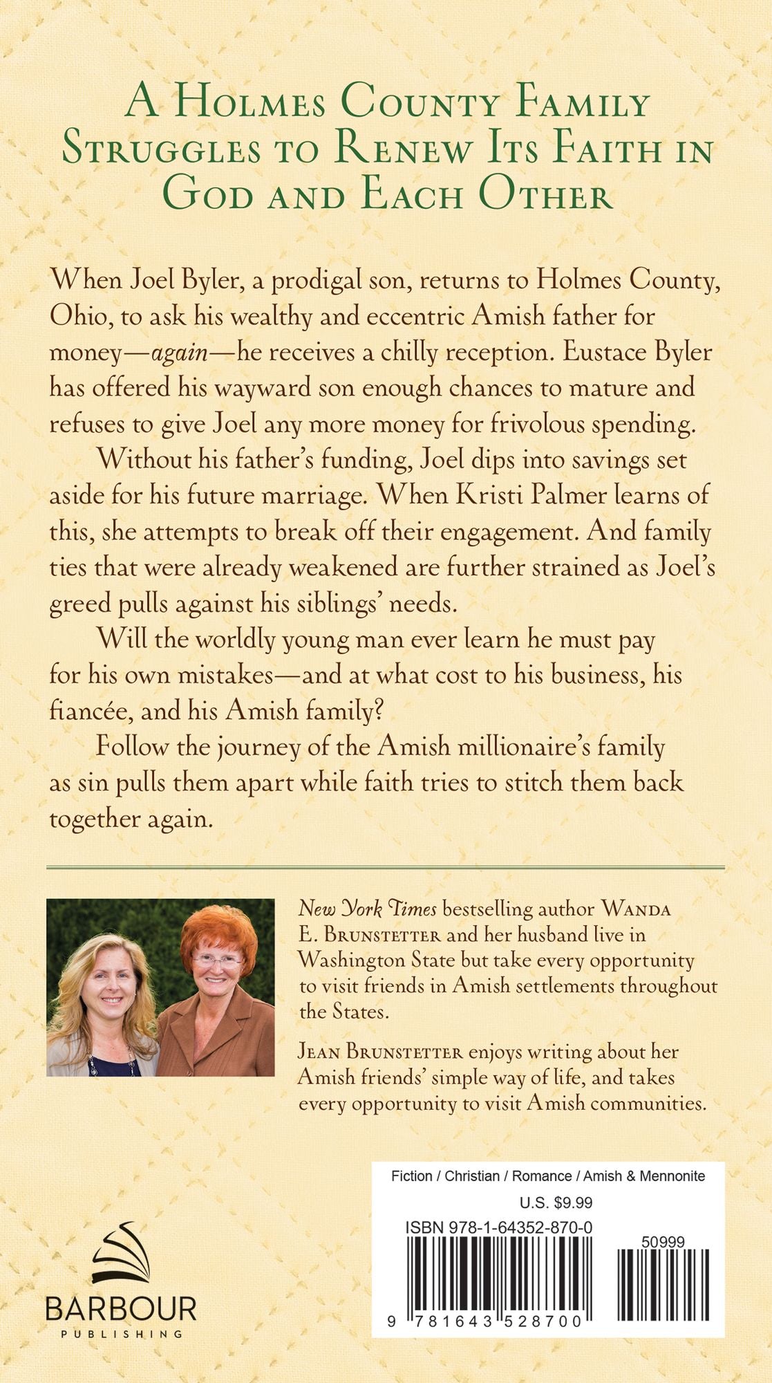 The Amish Millionaire: A Holmes County Saga