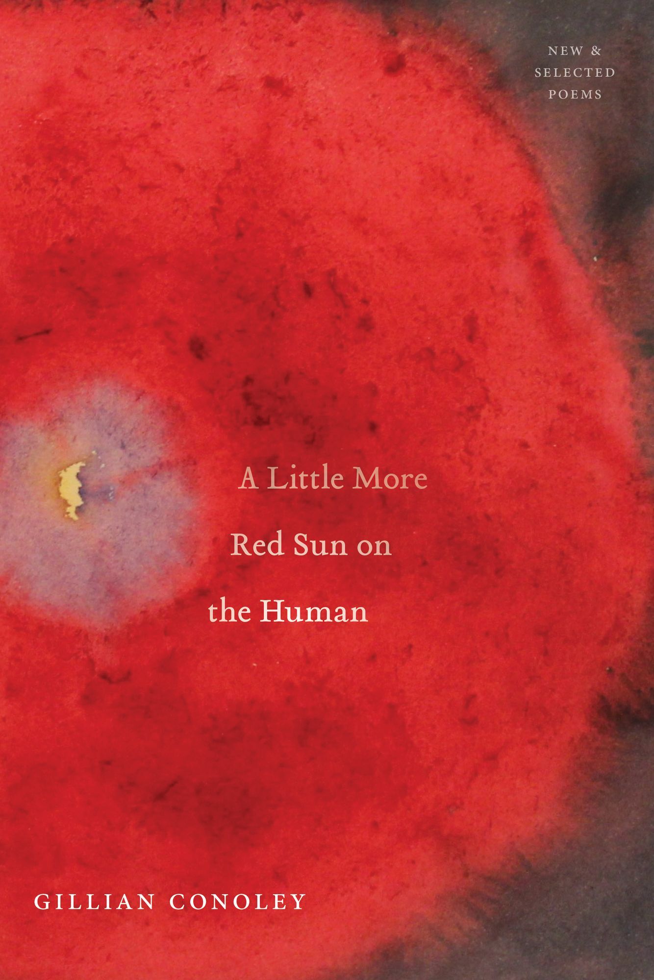 A Little More Red Sun on the Human : New and Selected Poems