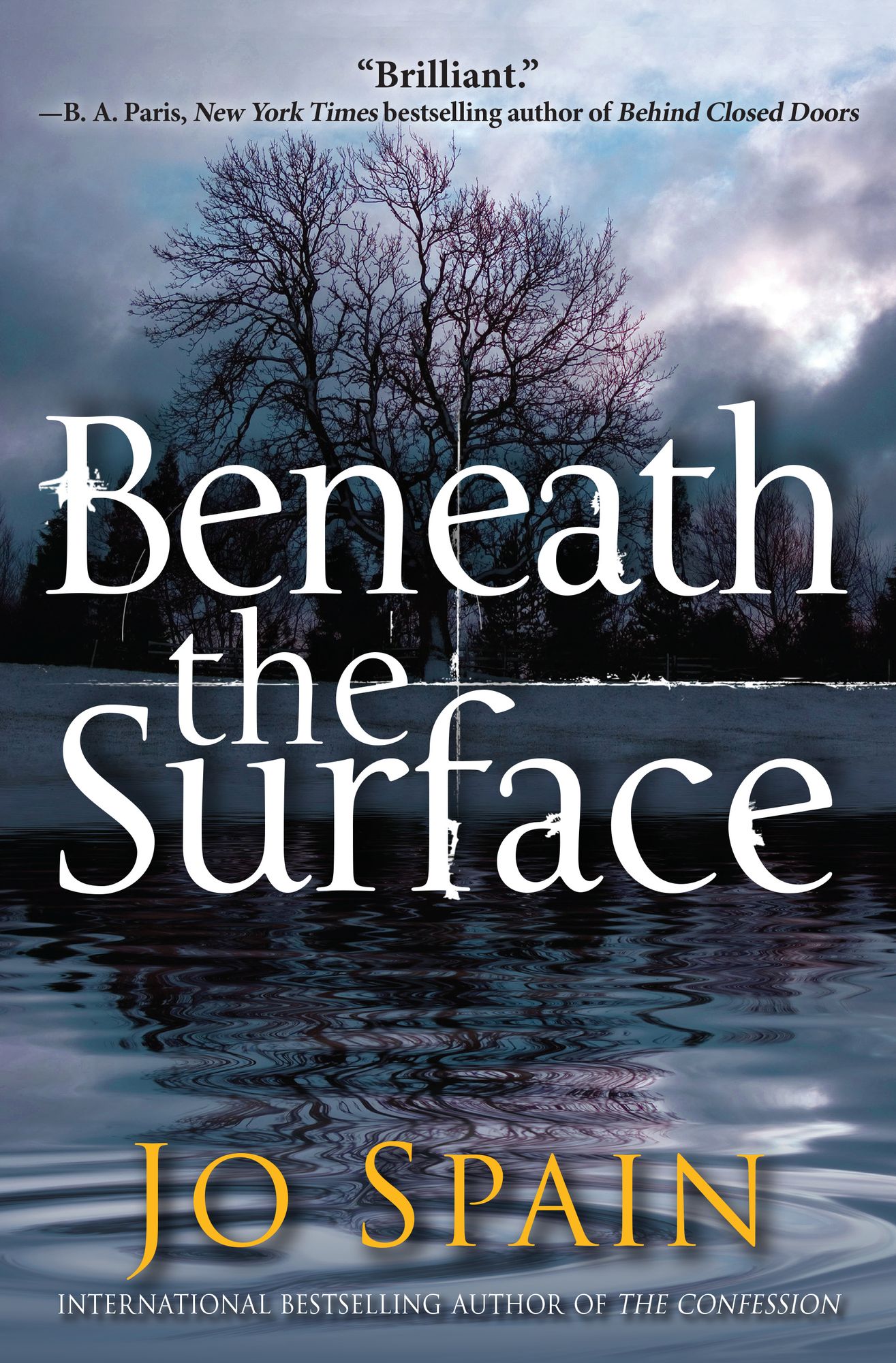 Beneath the Surface : An Inspector Tom Reynolds Mystery