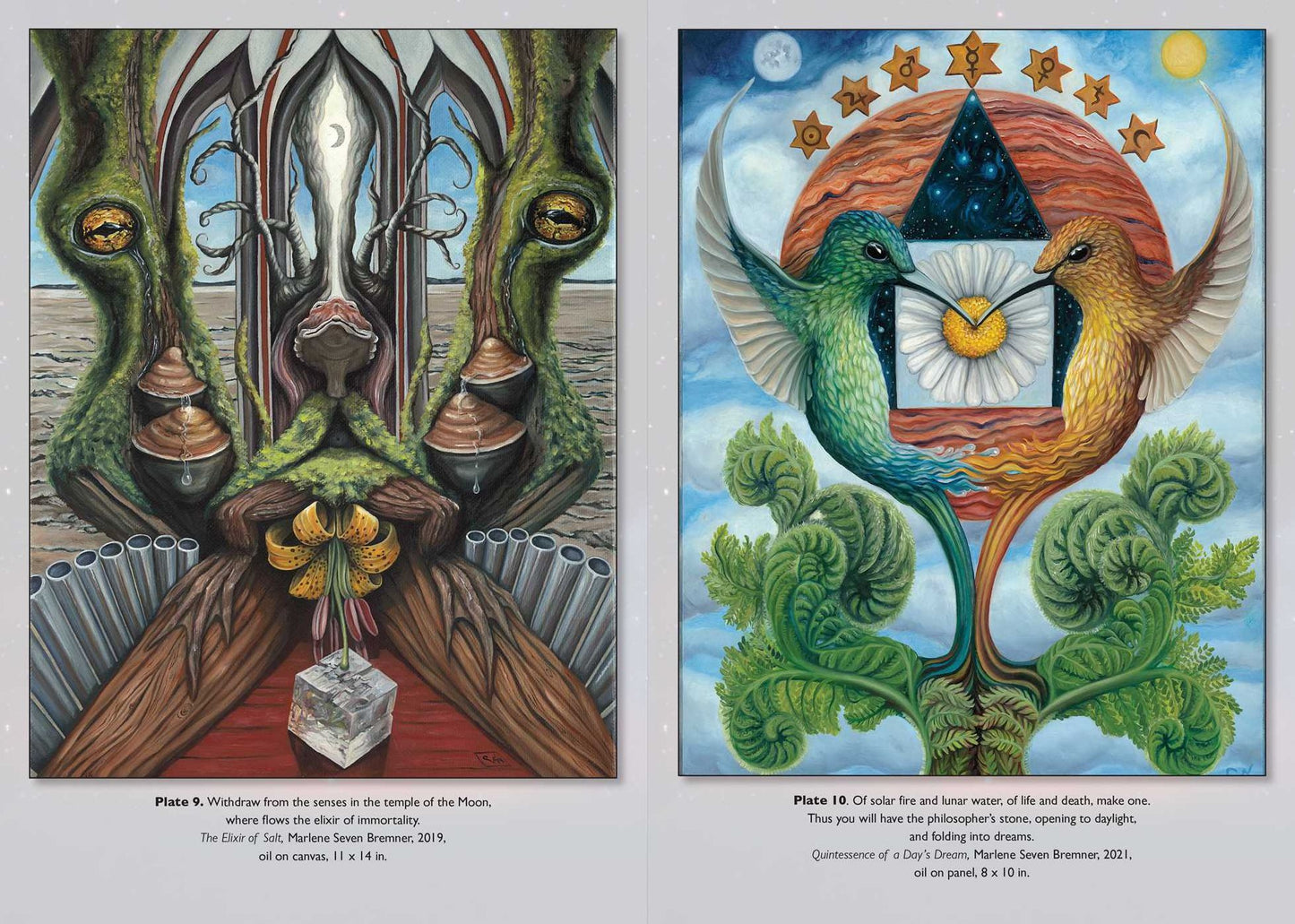 The Hermetic Marriage of Art and Alchemy: Imagination, Creativity, and the Great Work