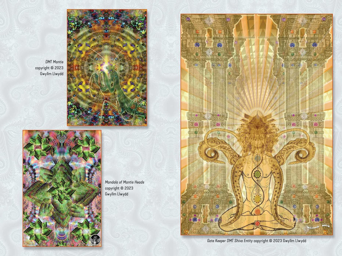 Psychedelic Buddhism: A User's Guide to Traditions, Symbols, and Ceremonies