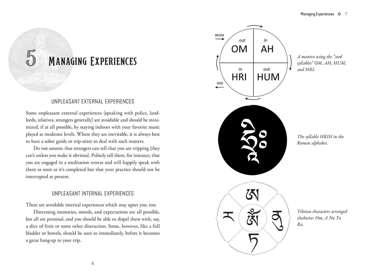Psychedelic Buddhism: A User's Guide to Traditions, Symbols, and Ceremonies