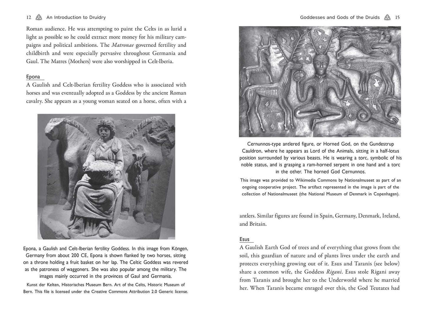 Celtic Druidry: Rituals, Techniques, and Magical Practices