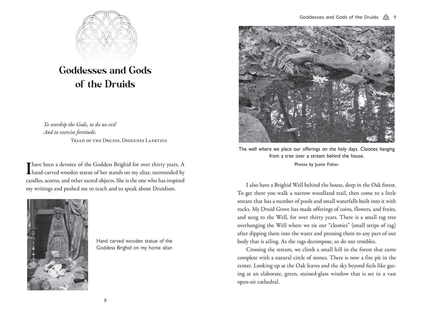 Celtic Druidry: Rituals, Techniques, and Magical Practices