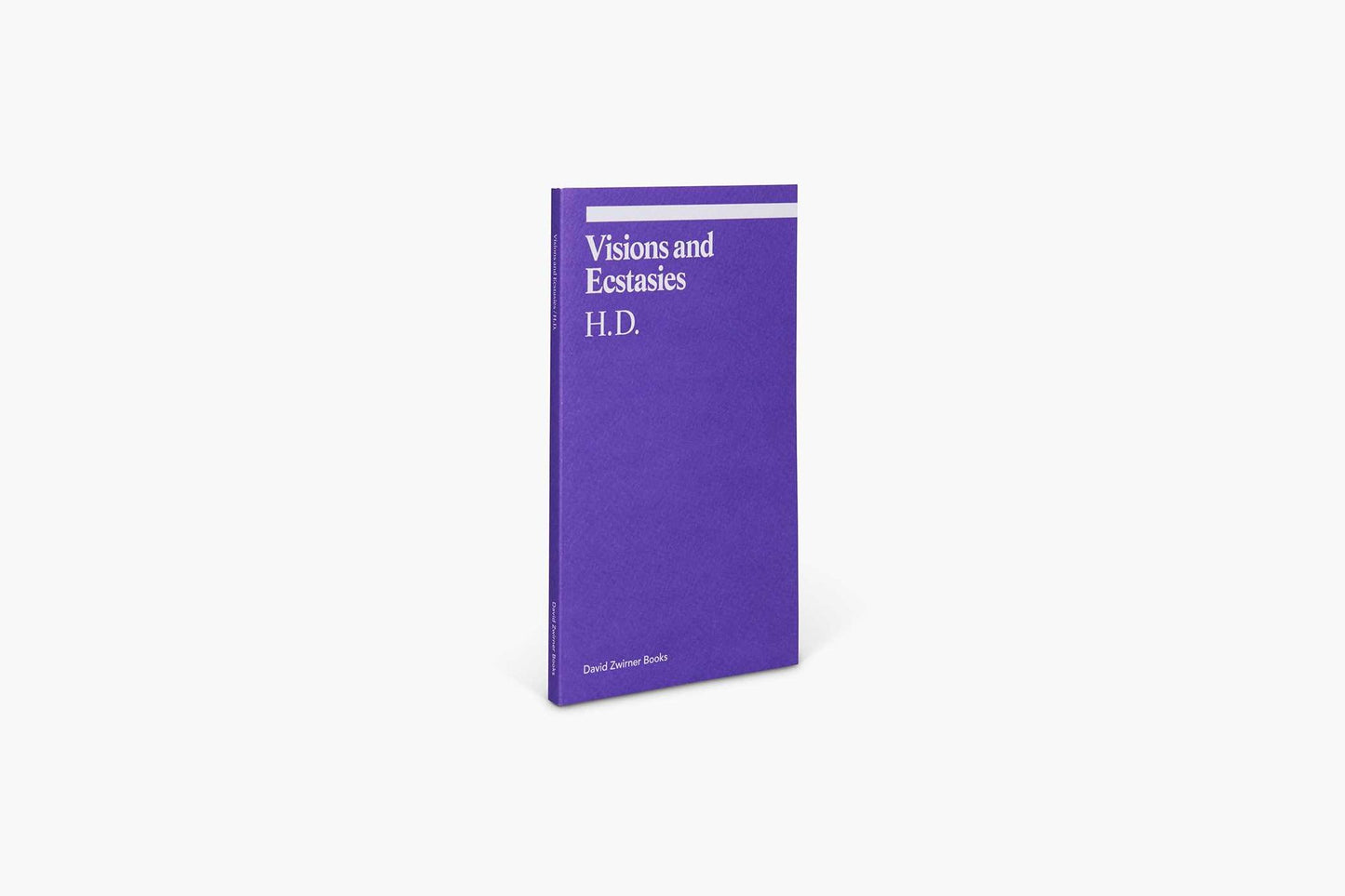 Visions and Ecstasies : Selected Essays