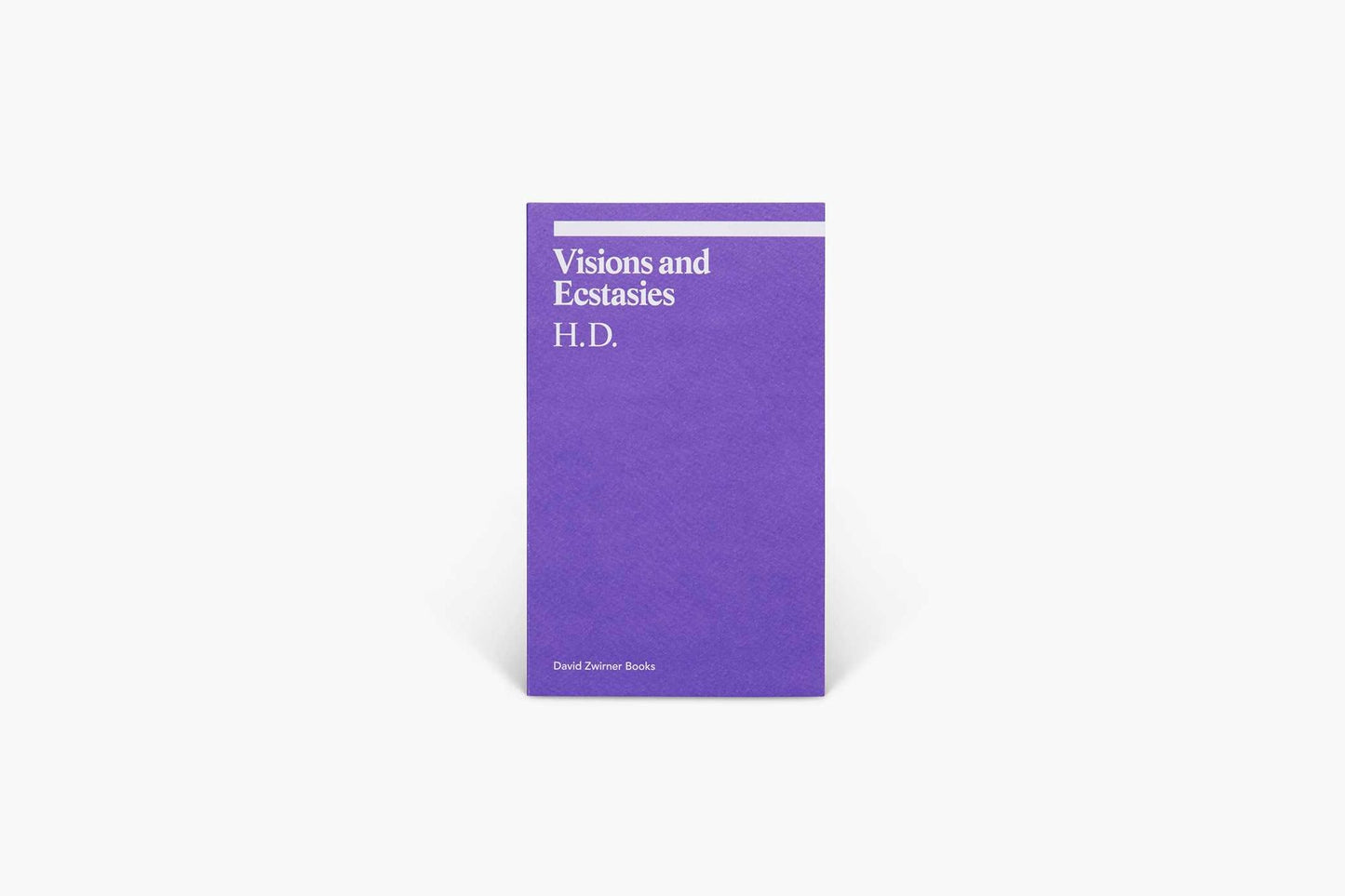 Visions and Ecstasies : Selected Essays