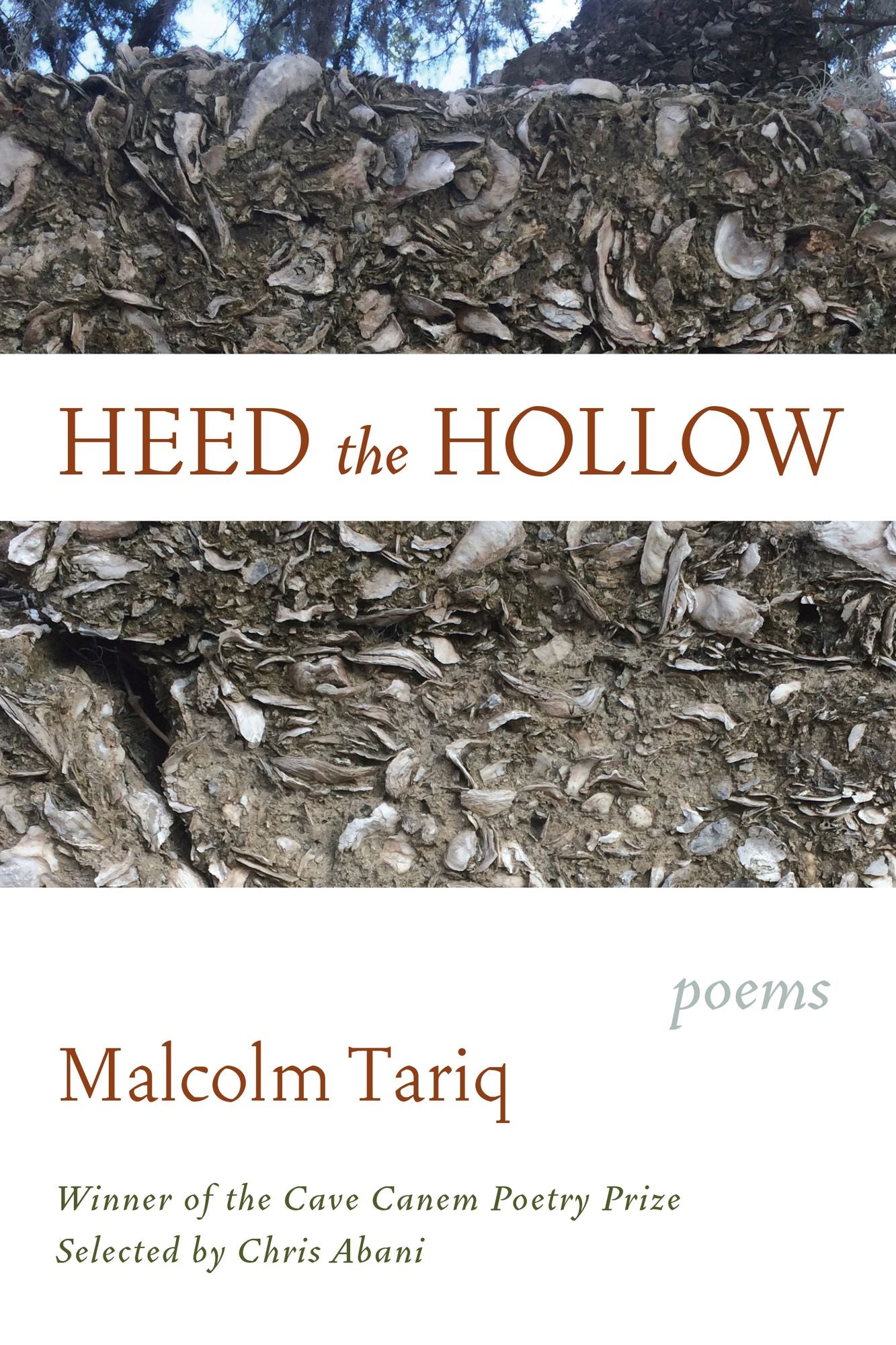 Heed the Hollow : Poems