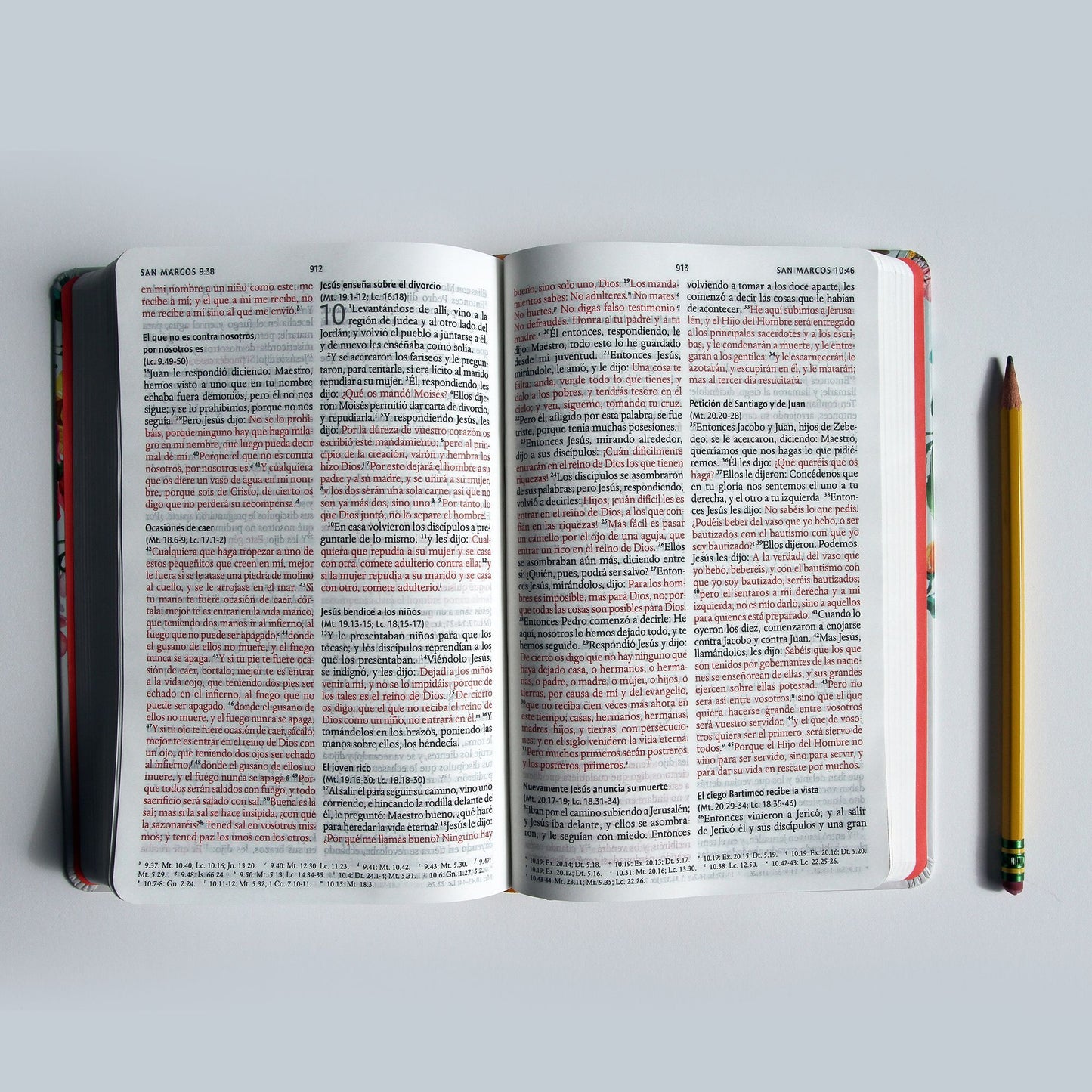 Biblia Rvr1960 Letra Grande Tamaï¿½o Manual, Tapa Dura Con Nombres de Dios, Flores Naranjas / Spanish Bible Rvr1960 Handy Size Large Print, Orange Flowers