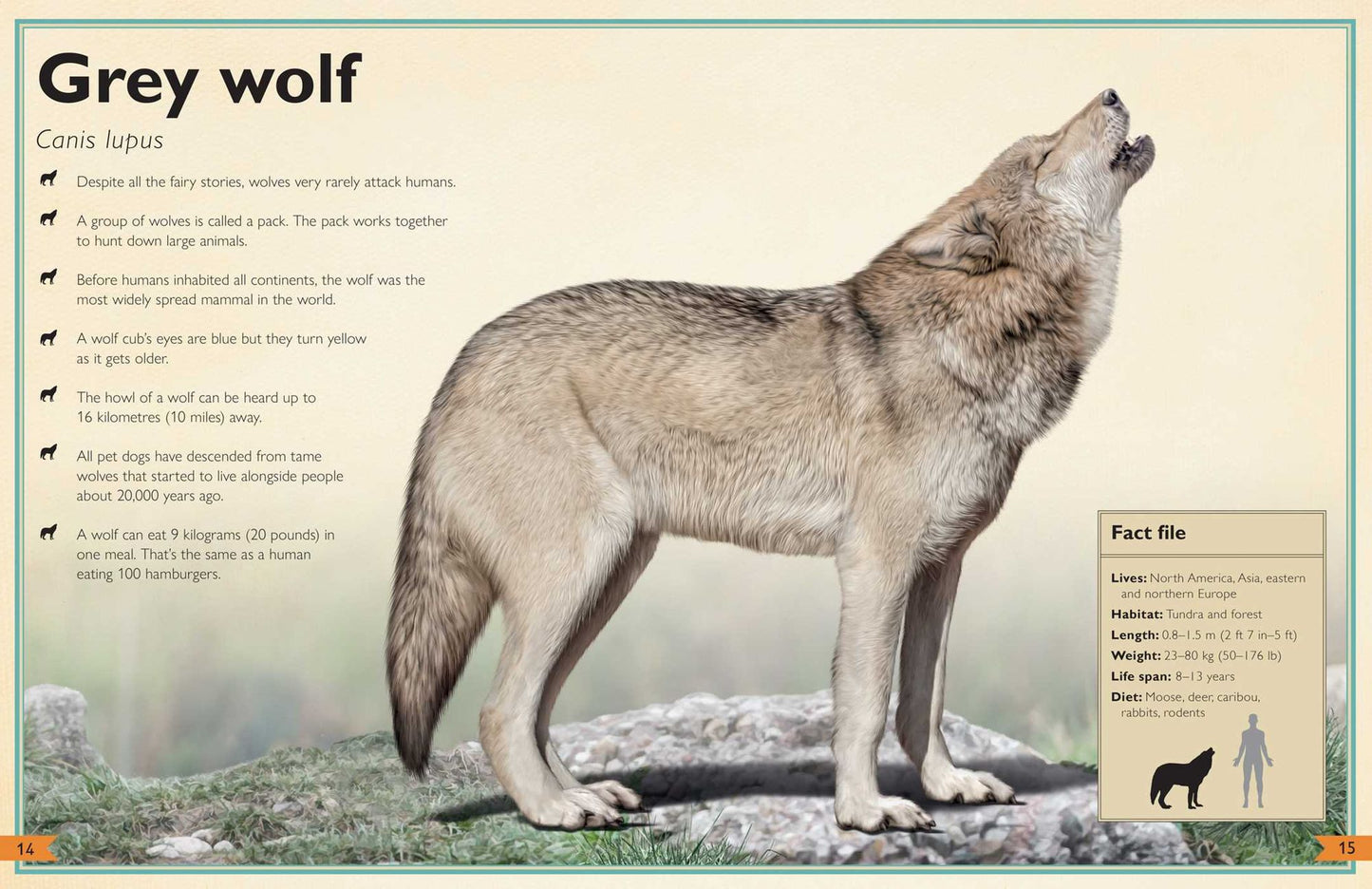The Magnificent Book of Animals