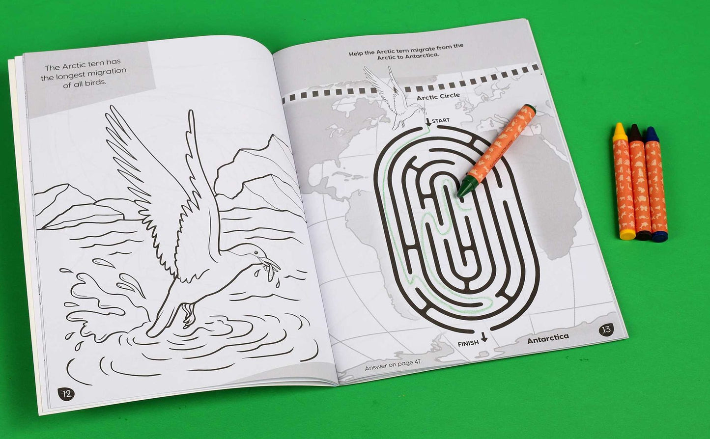 Animal Planet: Wild Animals Around the World Coloring and Activity Book