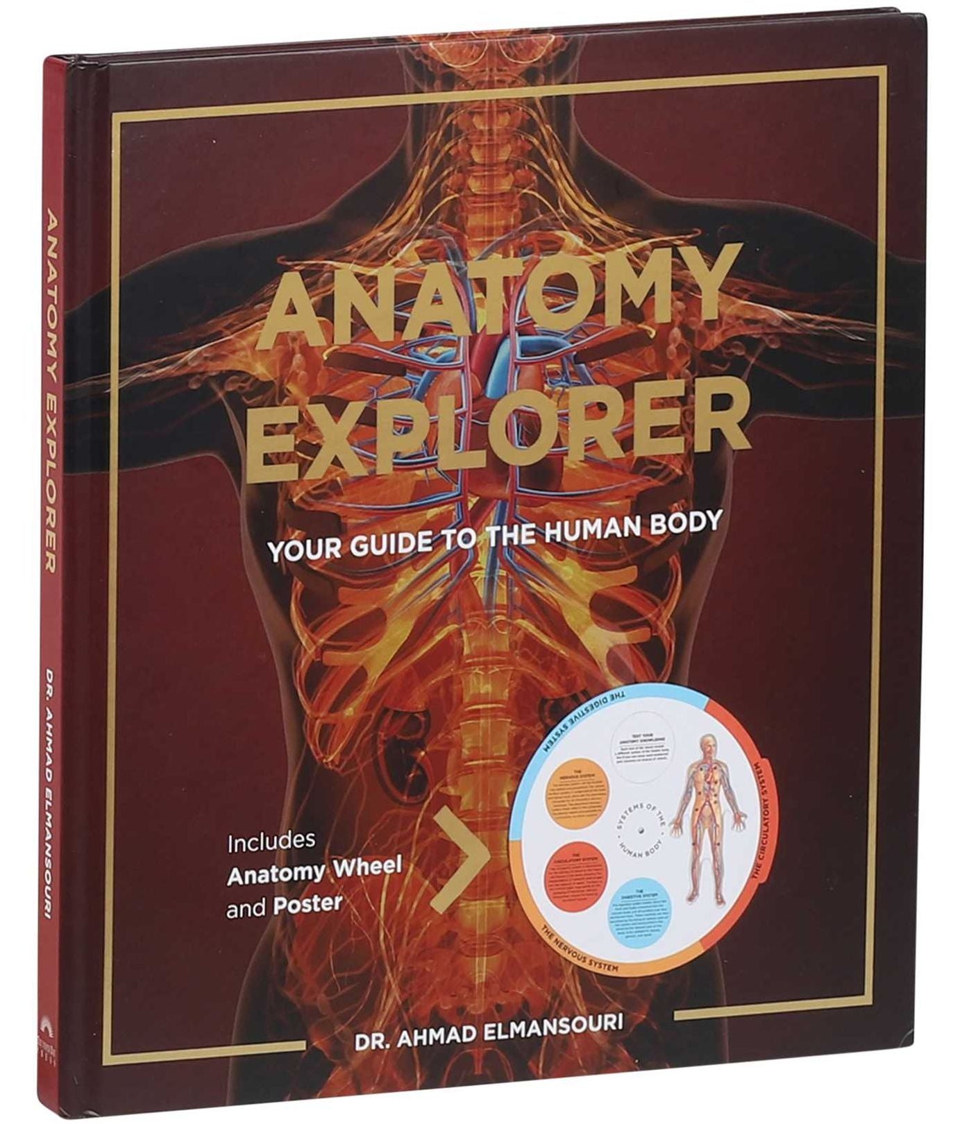 Anatomy Explorer