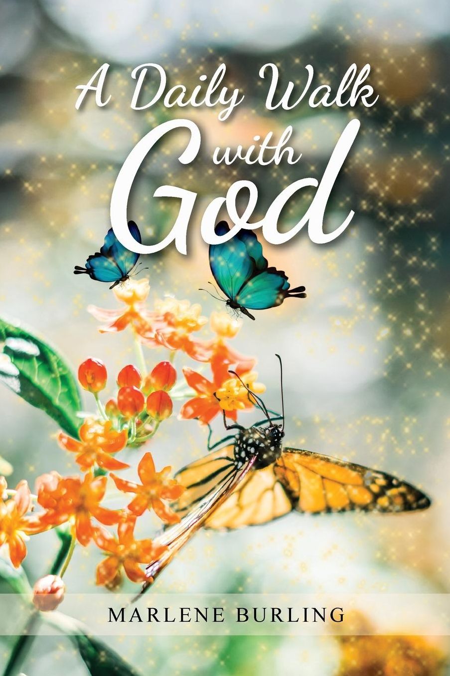A Daily Walk with God