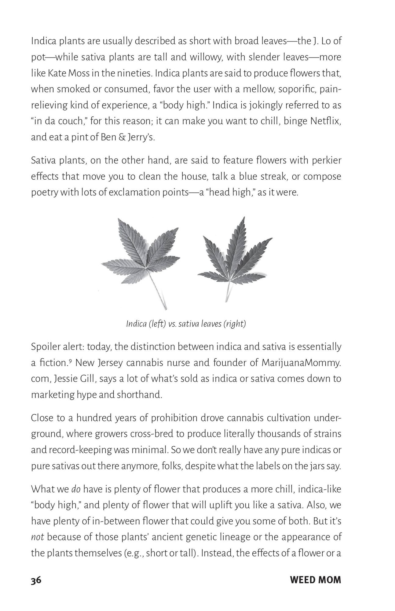 Weed Mom: The Canna-Curious Woman's Guide to Healthier Relaxation, Happier Parenting, and Chilling TF Out