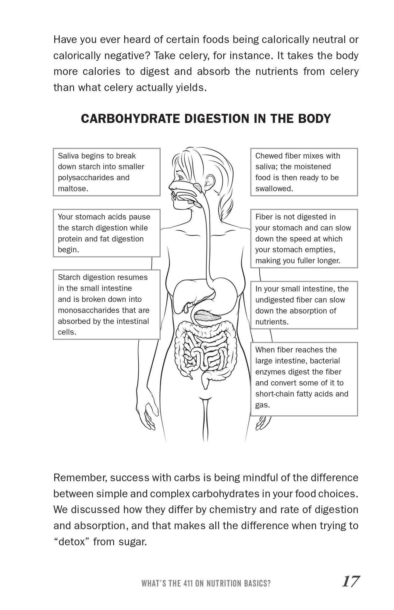 The Sugar Detox Diet for 50+: A Complete Guide to Quitting Sugar, Boosting Energy, and Feeling Great