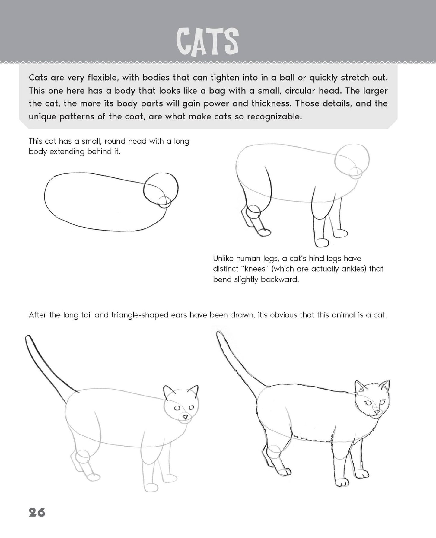 Drawing Animals: Learn How to Draw Everything from Dogs, Sharks, and Dinosaurs to Cats, Llamas, and More!
