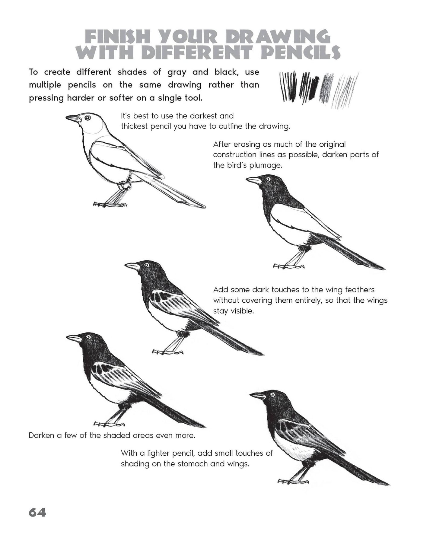 Drawing Animals: Learn How to Draw Everything from Dogs, Sharks, and Dinosaurs to Cats, Llamas, and More!