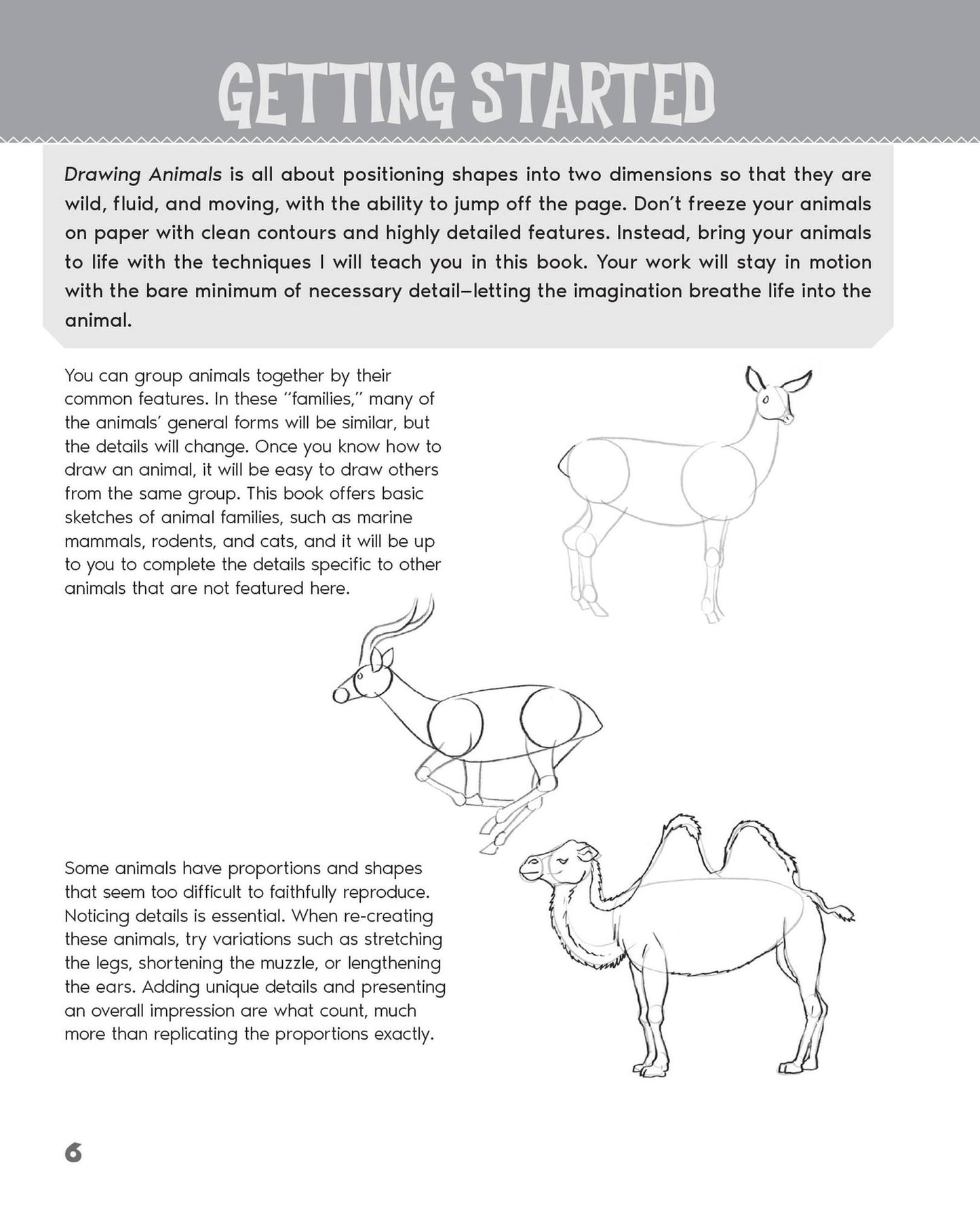 Drawing Animals: Learn How to Draw Everything from Dogs, Sharks, and Dinosaurs to Cats, Llamas, and More!