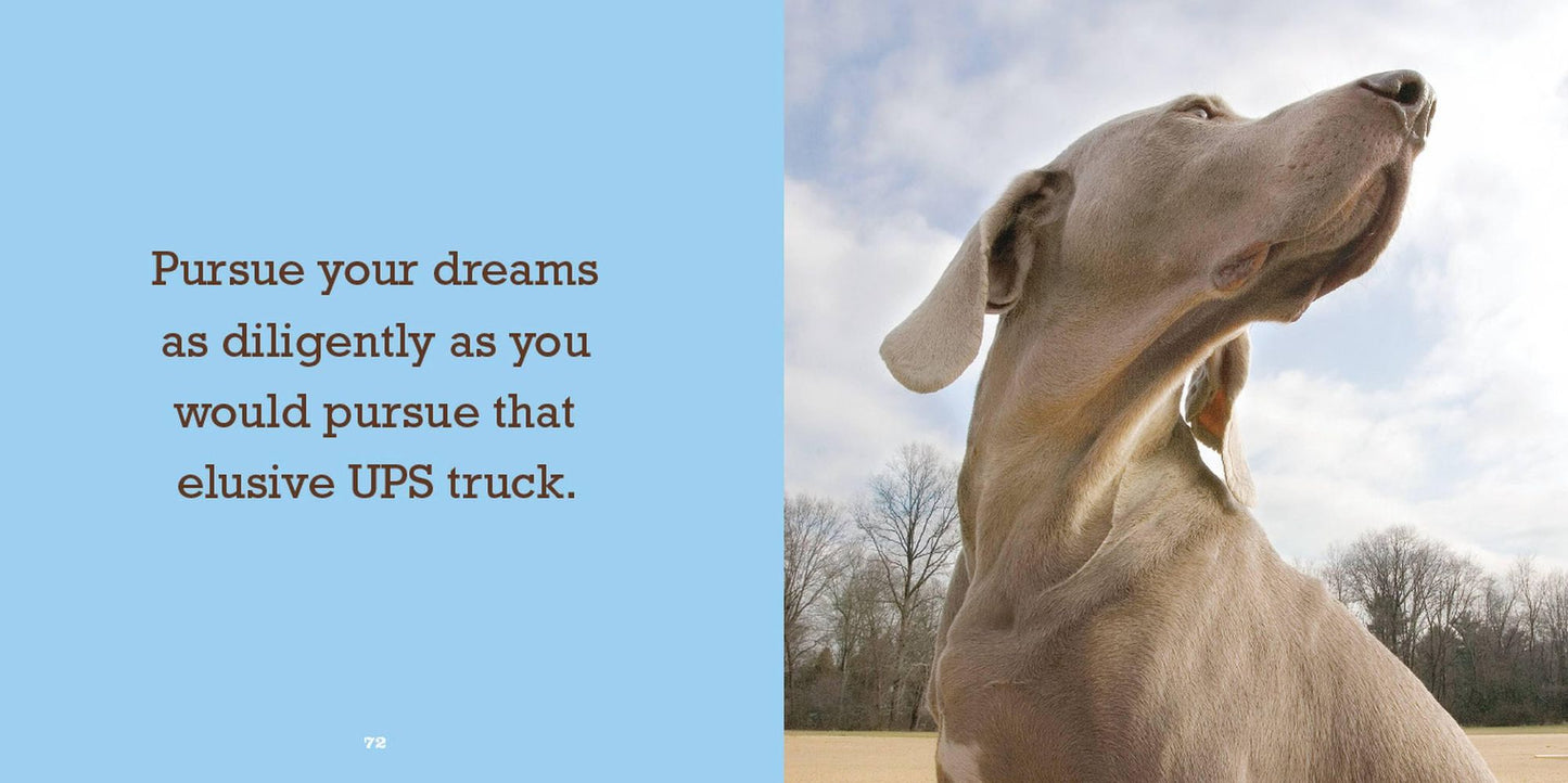 Biscuit for Your Thoughts?: Philosophy According to Dogs