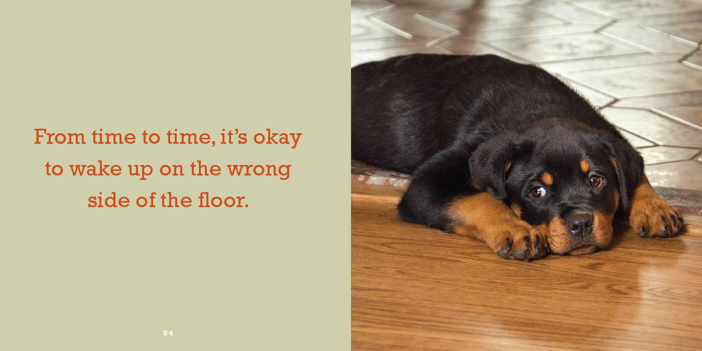 Biscuit for Your Thoughts?: Philosophy According to Dogs