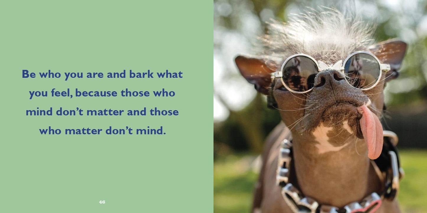 Biscuit for Your Thoughts?: Philosophy According to Dogs
