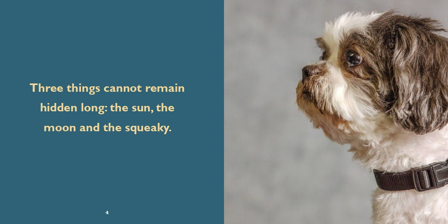 Biscuit for Your Thoughts?: Philosophy According to Dogs