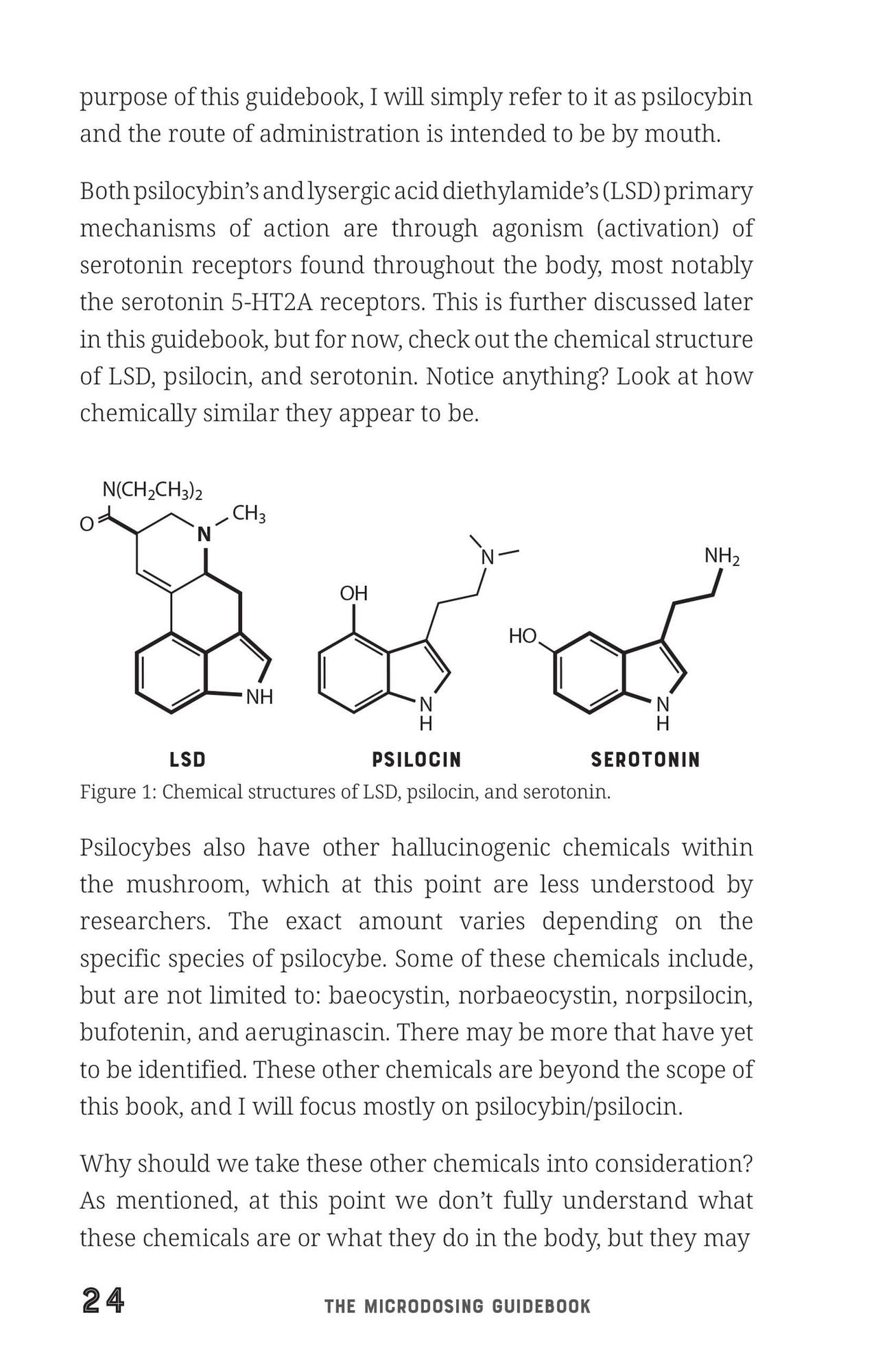 The Microdosing Guidebook: A Step-by-Step Manual to Improve Your Physical and Mental Health through Psychedelic Medicine