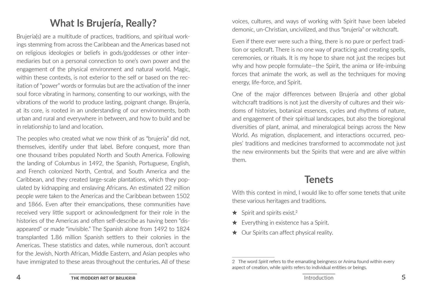 The Modern Art of Brujerï¿½a: A Beginner's Guide to Spellcraft, Medicine Making, and Other Traditions of the Global South