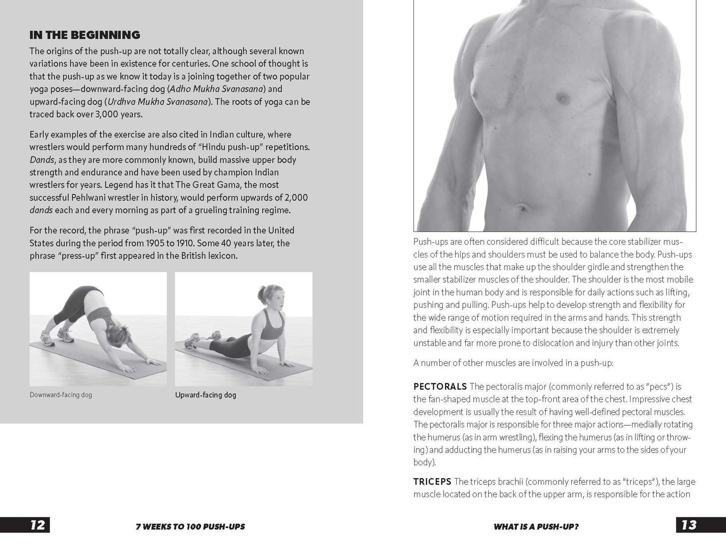 7 Weeks to 100 Push-Ups: Strengthen and Sculpt Your Arms, Abs, Chest, Back and Glutes by Training to Do 100 Consecutive Push-Ups