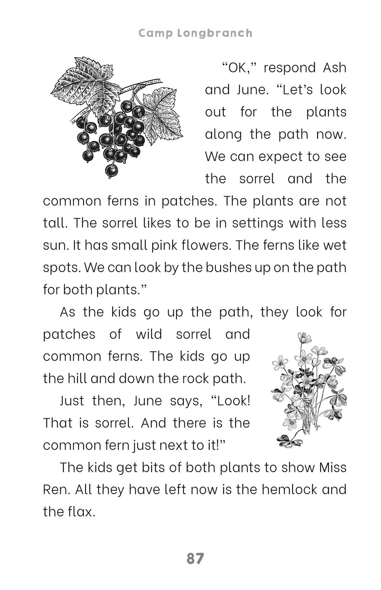 The Adventures of the Plott Family: A Decodable Stories Collection: 6 Chaptered Stories for Practicing Phonics Skills and Strengthening Reading Comprehension and Fluency (Reading Tools for Kids with Dyslexia)
